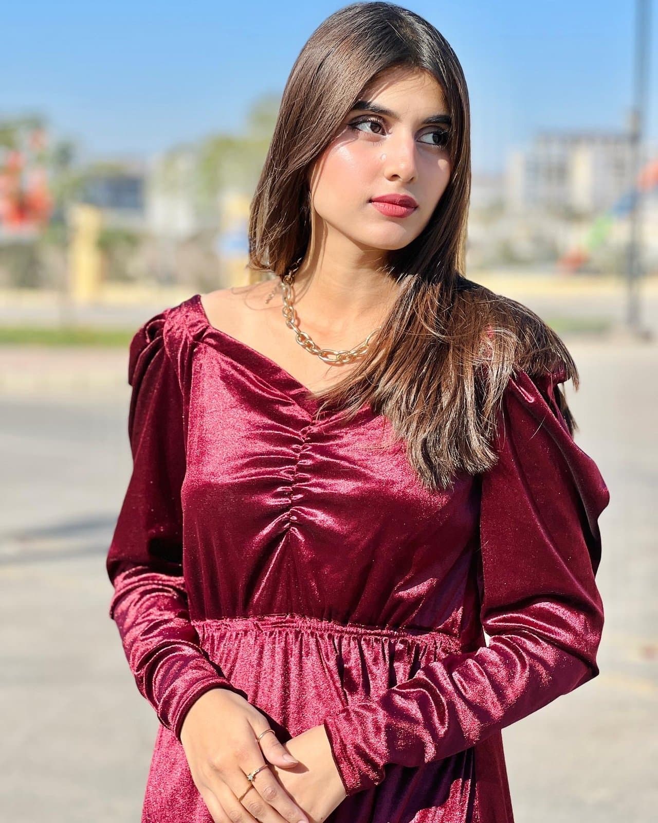 Chantel Maroon Velvet Dress – image 3