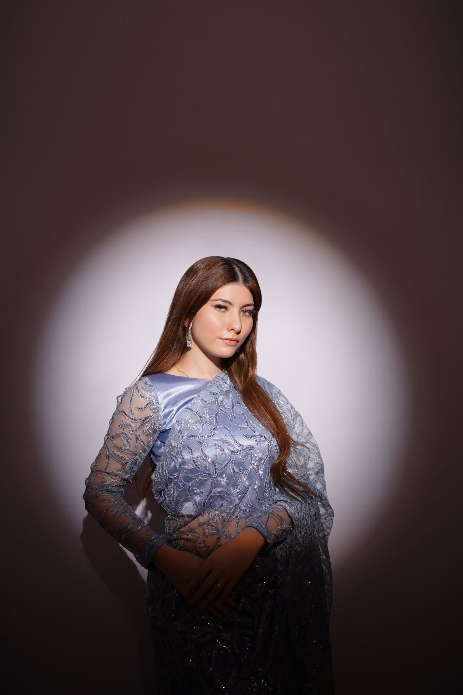 Ashy Mist Saree – image 6
